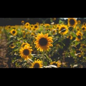 Meet your Posher, Sandra